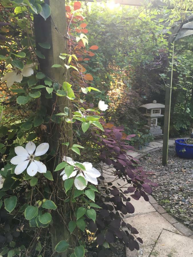 The Lavender Room Saundersfoot Ngoại thất bức ảnh